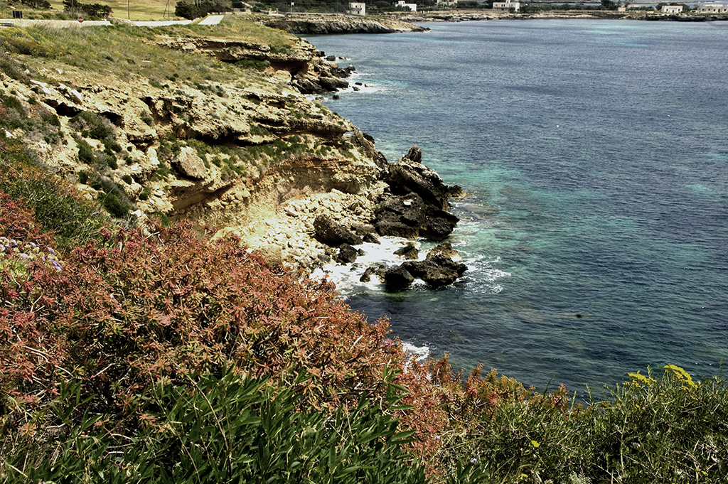 3 DSC_0079   r .jpg